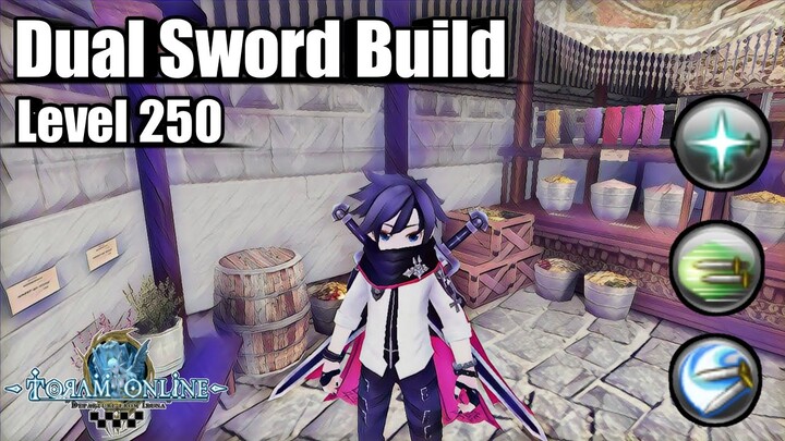 Dual Sword Build lvl cap 250 (T5 skill) AERIAL CUT Spammer - Toram Online