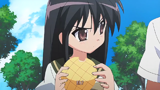 Shakugan no Shana eps 14 sub indo