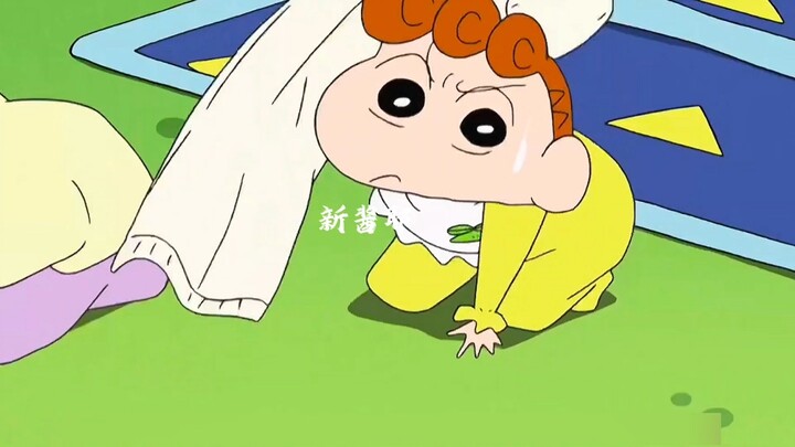 Xiaokui, chưa đầy một tuổi, ngại ngùng khi nhìn thấy những anh chàng đẹp trai