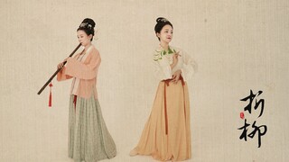 【丹&晶】国家宝藏原创双人中国舞——折柳