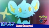 Pokémon the Series: XY  | 47 Reuni kampus! | Pokémon Indonesia