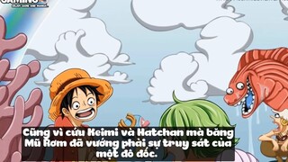 Top 6 Thánh Nhọ Trong One Piece p2