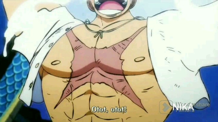ONE PIECE..NIKA VS BELUT SAWAH
