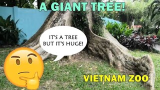 Vlog - Vietnam Zoo!