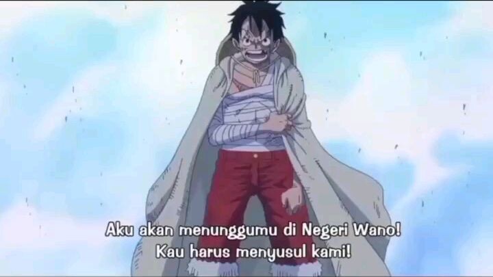 IKATAN JINBEY DAN LUFFY