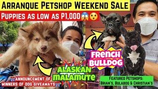 ARRANQUE PETSHOP UPDATE | WEEKEND SALE AS LOW AS P1,000 | FRENCH BULLDOG, ALASKAN MALAMUTE, CHOWCHOW