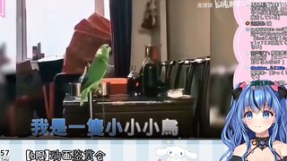 日本水精灵看《沙雕动物视频》