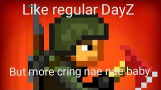 MiNi DaYz iS FuN
