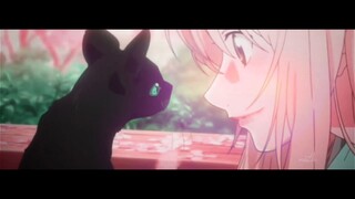 [AMV] Your Lie In April - Everything I Wanted