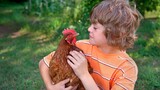 Funny Babies and Chicken Moments - Cute Babies and Pets Compilation