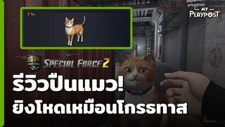 Special Force 2 รีวิวปืนแมวเหมียว ยิงโหดเหมือนโกรธทาสมา