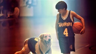 Genius Dog Finds A Lonely Boy And They Make The Best Basketball Team Ever