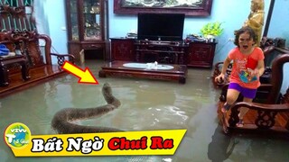 10 Thứ Điên Rồ Và Đáng Sợ Nhất Được Tìm Thấy Trong Nhà Gây Ám Ảnh Nhất |Vivu Thế Giới