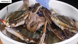 ASMR MUKBANG hải sản om và cua (bạch tuộc, bào ngư, tôm) cơm chiên với ruột cua