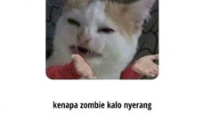 kenapa zombie nyerang beramai-ramai ?