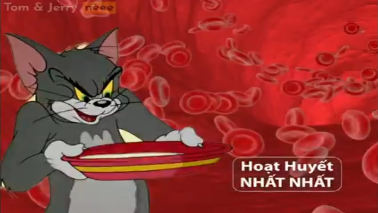 Hoạt Huyết Nhất Nhất Phiên Bản Tom And Jerry - Bilibili