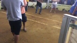binabaeng malupit