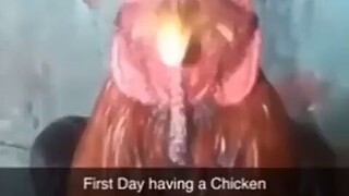 chicken