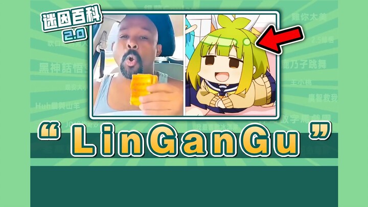 今晚是睡不著了⚡⚡⚡__Linganguliguli_是什么迷因？