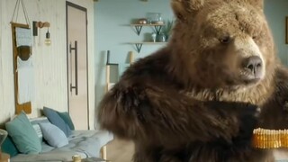 Làm thế nào một con gấu nâu trở thành một con gấu Bắc Cực