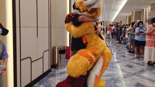 Kehidupan|Satu-Satunya yang Pakai Kostum Fursuit di Konvensi Anime