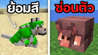 26 ความลับที่คุณอาจไม่ค่อยรู้ไน Minecraft