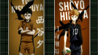 Collabber2 Nishinoya & Hinata