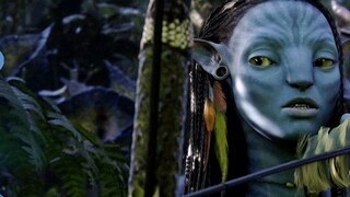 Tôi đã dành 100 ngày để bắt nhiệt [Phục chế 3D 360 độ Pandora trong "Avatar"]