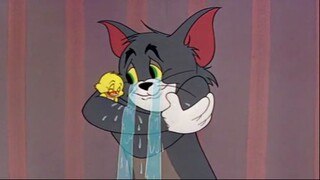 Tom And Jerry Follow That Duck! ทอมแอนด์เจอร์รี่ และเป็ดน้อยจอมซน