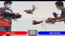 Sabong Part-164 Pula Vs Pula