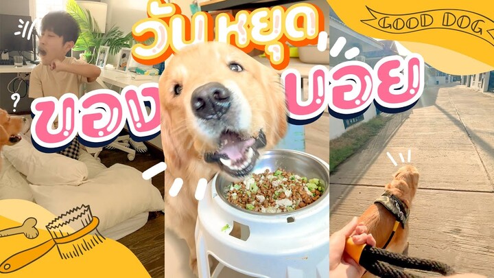 Vlog 1 day with เพชรกับเจ้าบอยในวันหยุด 😊 🐶  || Goodboy X Lifemate