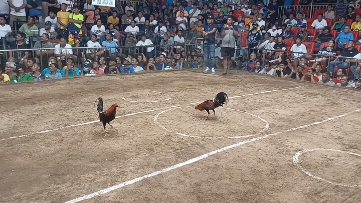 Battle of Tiktokers ganting laban Kay idol Biboy 1st fight