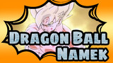 Dragon Ball|【Z MAD】Namek