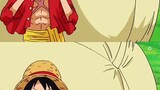 How strong is Luffy's backer?