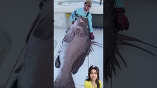 Kakak Pancing Ikan Raksasa ⁉️