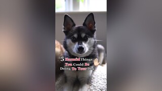 Did any of these shock you? 🐶 🧠 🦷 learnontiktok