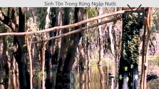 Sinh tồn trong rừng ngập nước p2