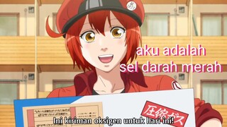 mengenal sel darah merah versi anime