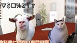 [Meme dewasa/kucing] Kisah nilai-nilai ibu rumah tangga Jepang yang berangsur-angsur berubah setelah