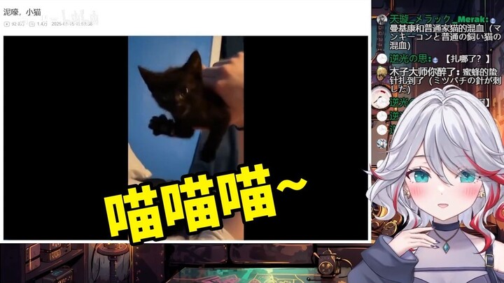 日本天然小姐姐看《泥嚎，小猫》自己也化身猫咪