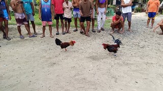 pang 2x winner bisaya lines
