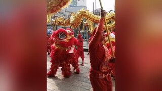 mualan mualansurong liondance tet2021 tet2021🌸🌸