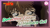 [Detective Conan|HD] Ai Haibara Ep476-488 Cut (Part 7,"dimana foto hitam pergi" termasuk)_2