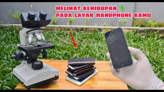 Microscope ZOOM 1000X:  MELIHAT KEHIDUPAN PADA LAYAR SMARTPHONE KAMU