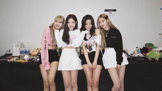 [ดารา][BLACKPINK]สุนัขหมาป่า Disco