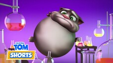 Potions 👨🔬🧪🧫🔬 | Talking Tom Shorts: Season 1 Episode 4