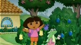Dora the Explorer Go Diego Go 504 - Isa's Unicorn Flowers