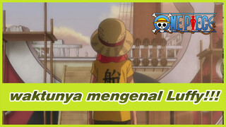 waktunya mengenal Luffy!!!