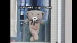 [Hài hước] Đừng có phơi gấu bông ở ban công