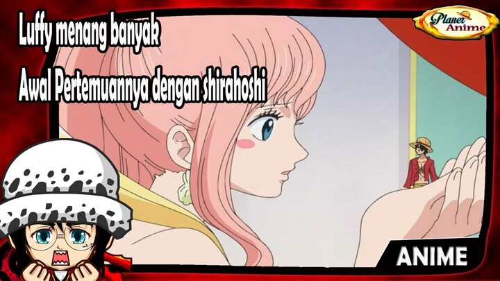 Luffy menang banyak, awal pertemuan dengan duyung cantik shirahoshi kecantikan yg tak terbayangkan